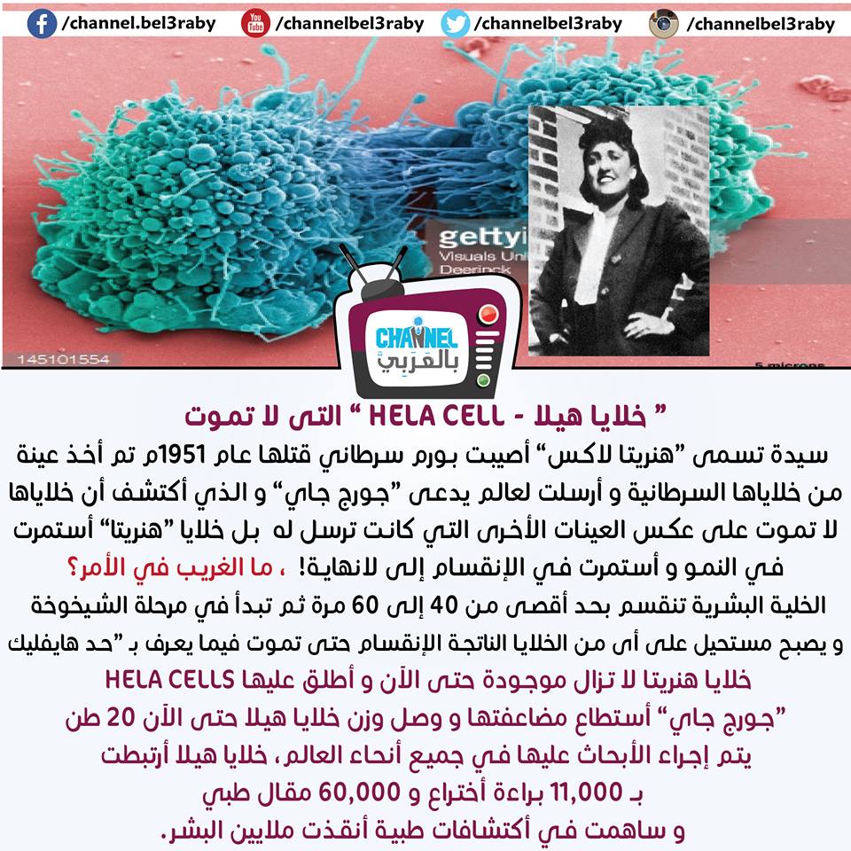 خلايا هيلا التى لا تموت، خلايا في خدمة البشرية