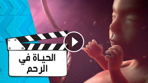 فيديو : الحياة داخل الرحم التسع شهور كاملة فى أربع دقائق فقط