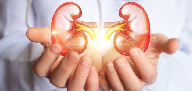 تحليل وظائف الكلى، التحاليل والفحوصات اللازمة